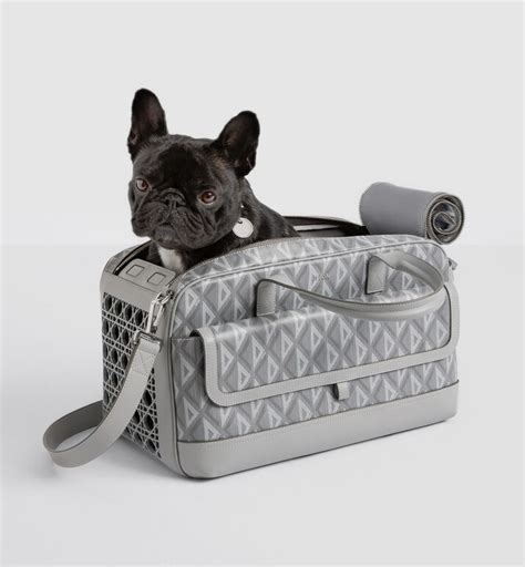 christian dior pet